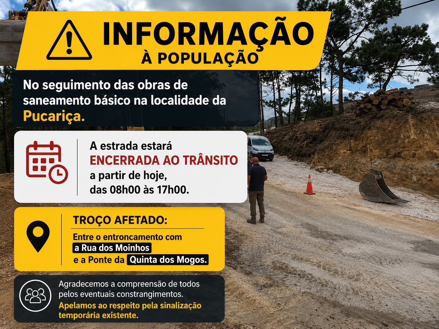 Corte de Estrada da Pucariça